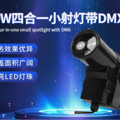 七彩射灯雨灯声控频闪10W